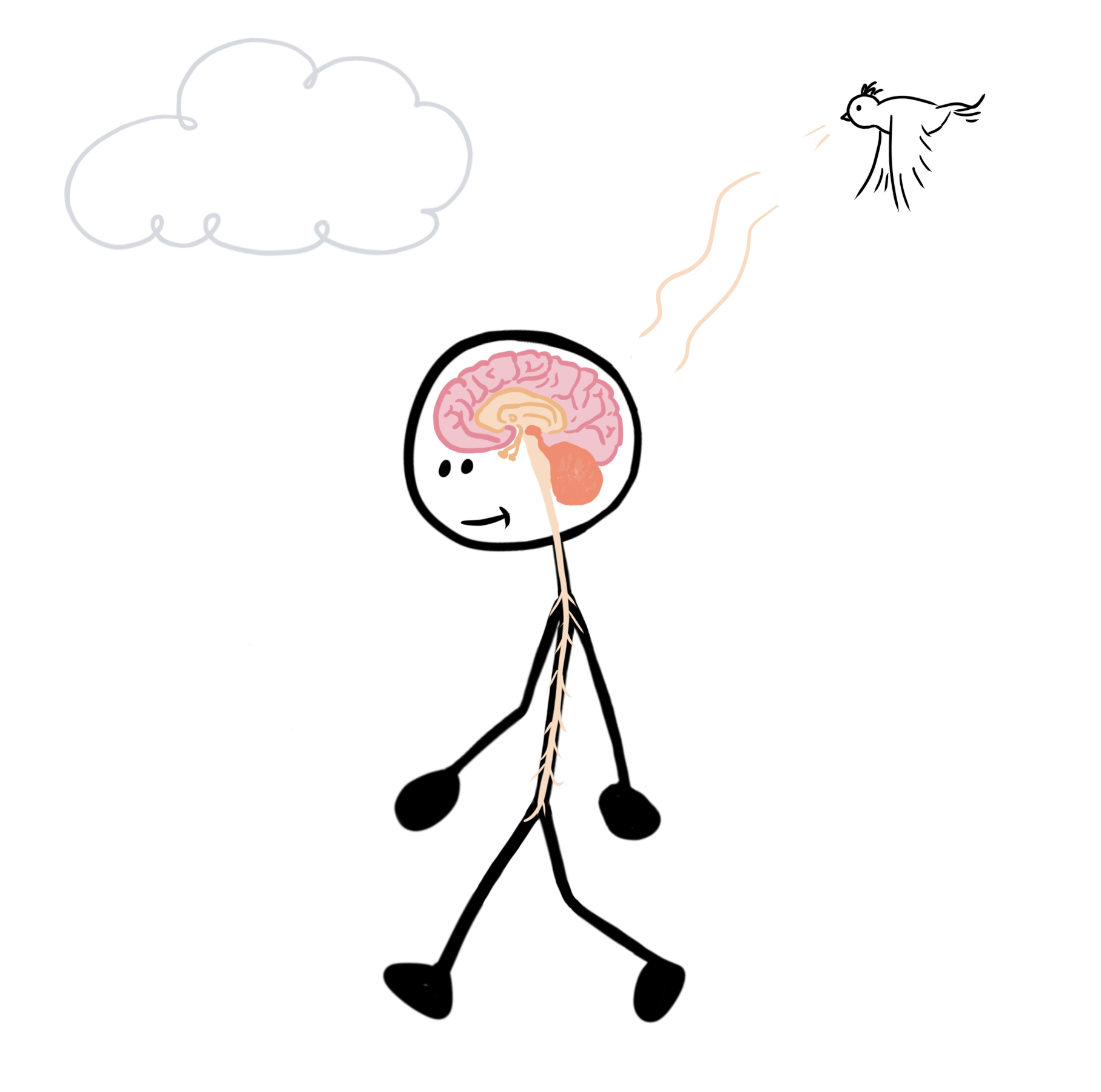 Nervous System Man