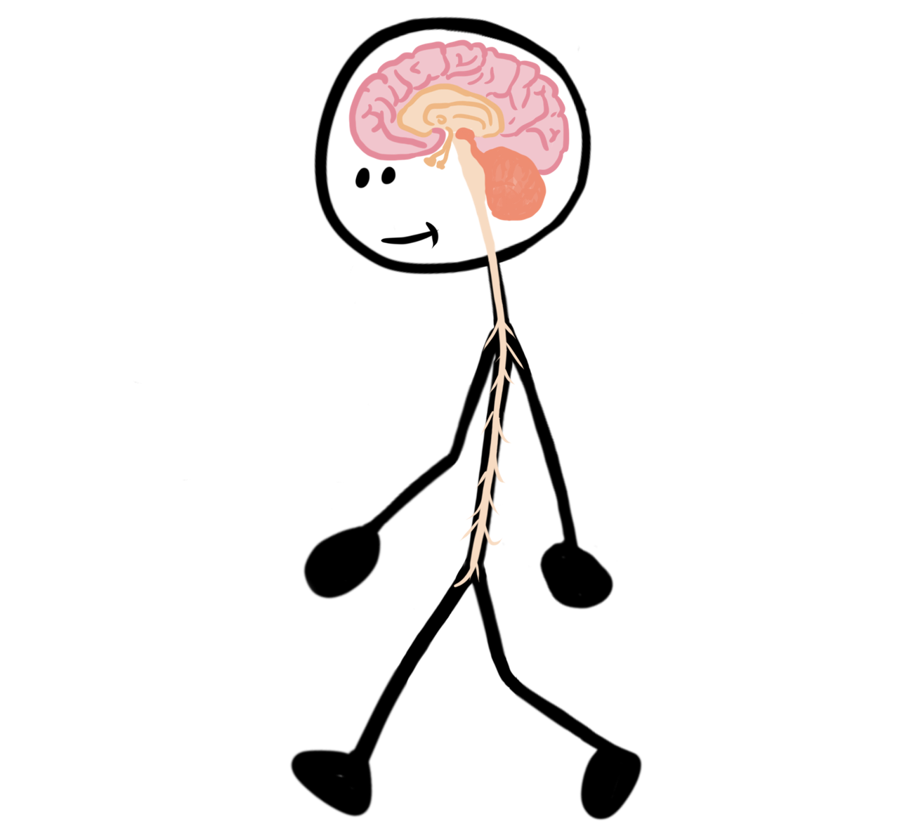 nervous-system-man copy