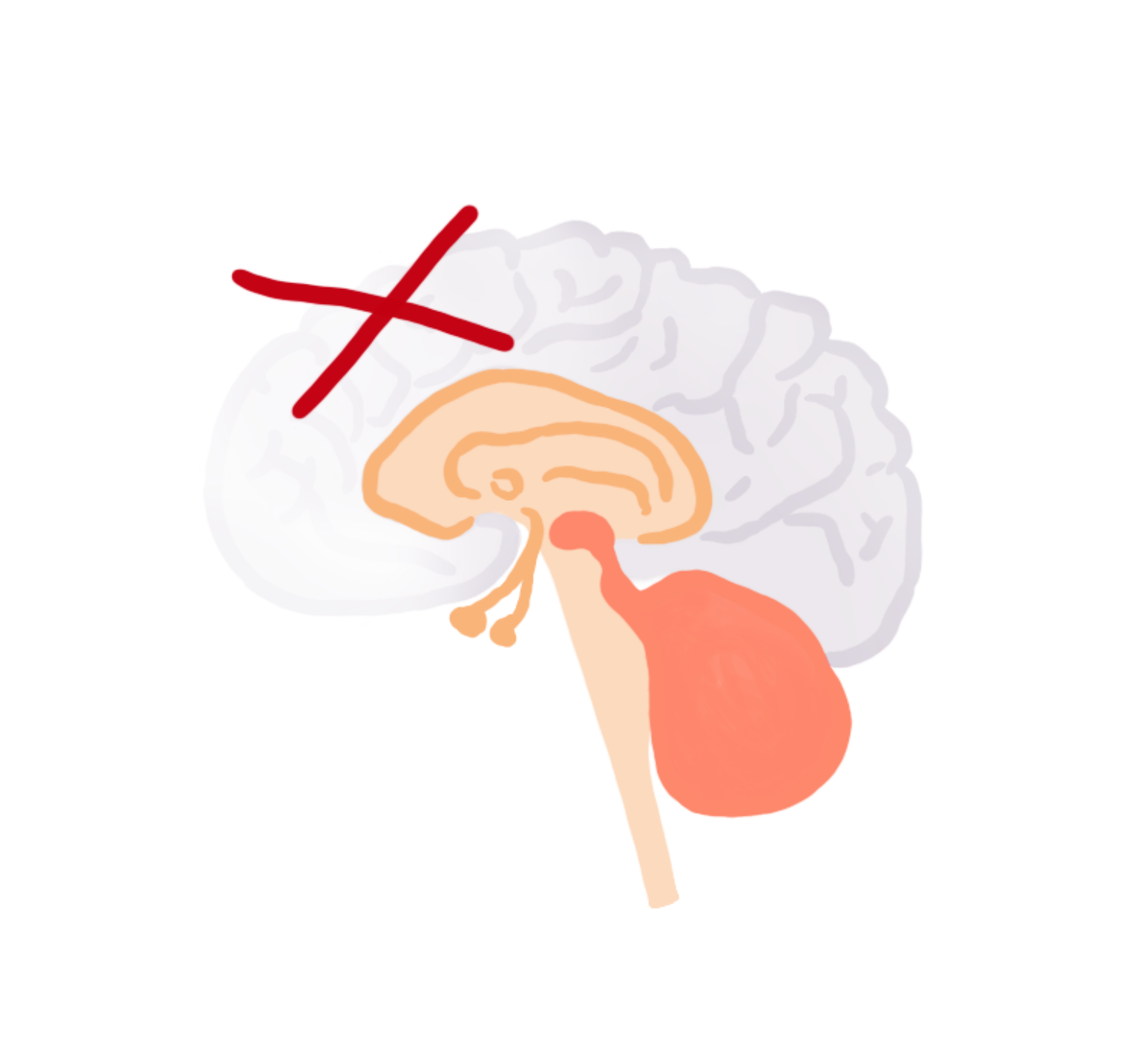 brain-regions-offline