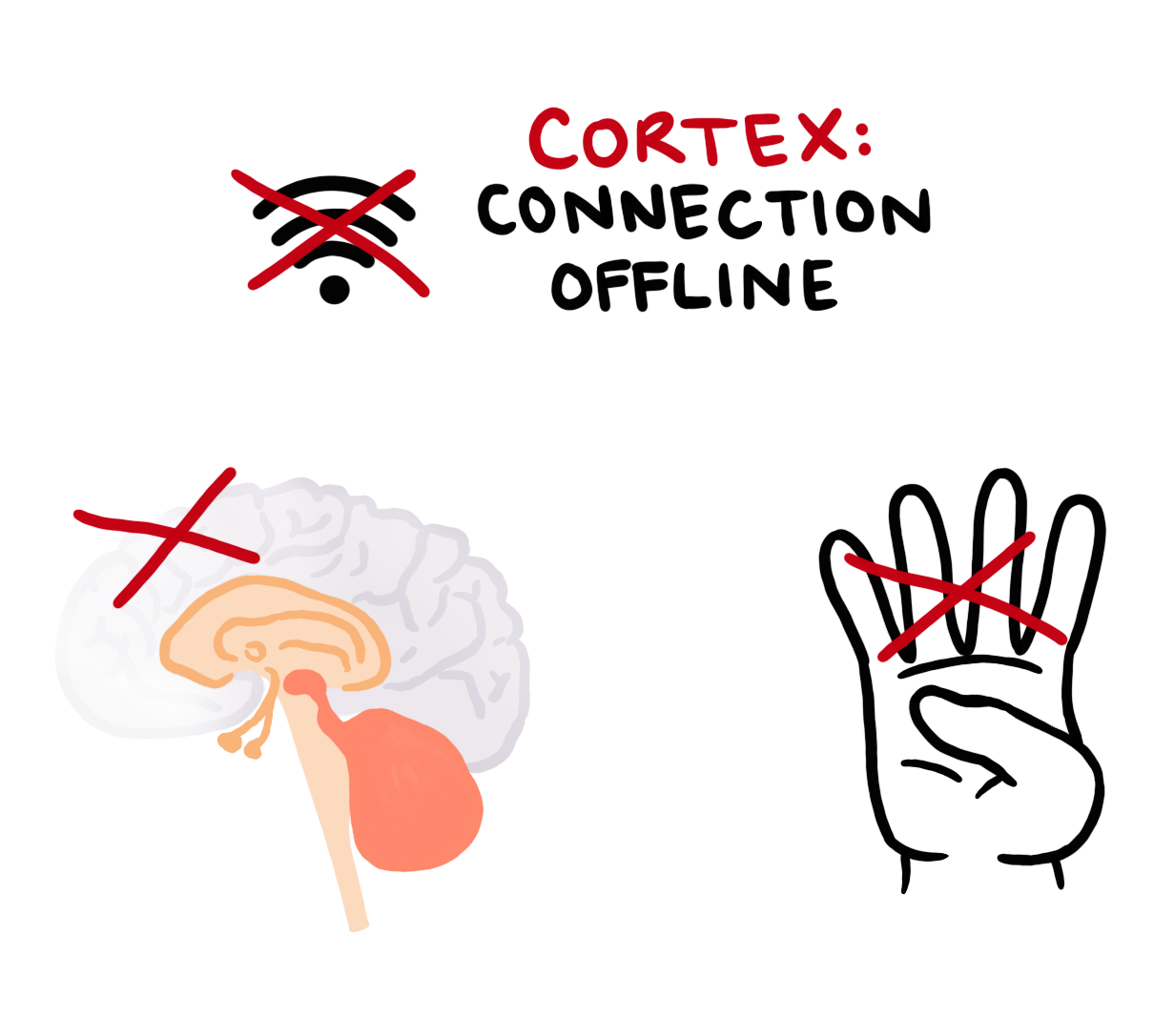 cortex-offline