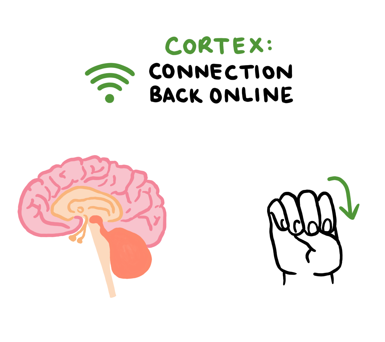 cortex-online